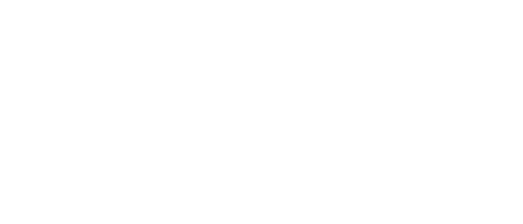 Lobo de Vasconcellos Wines